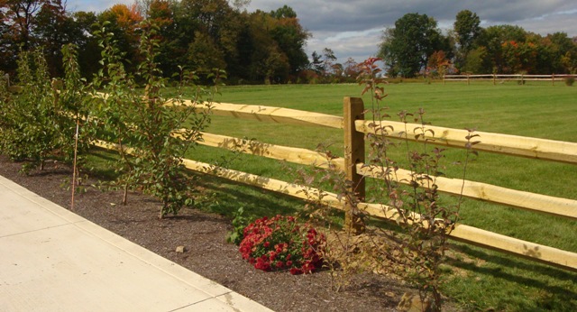 Split Rail